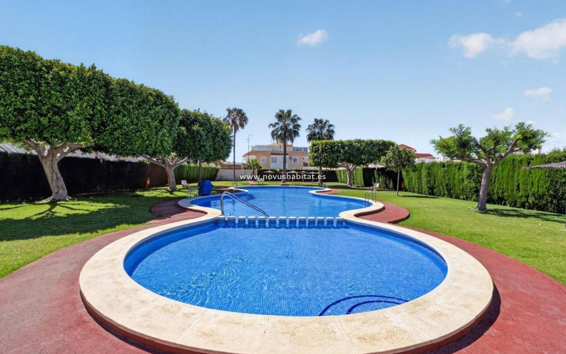 Neue Gebäude - Apartament - Torrevieja