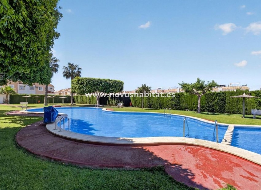 Neue Gebäude - Apartament - Torrevieja