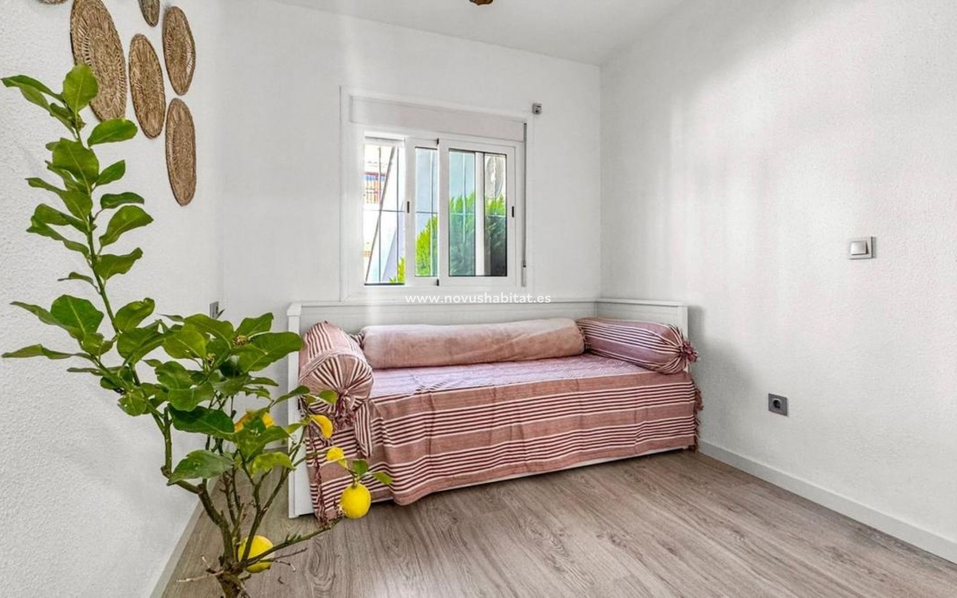 Neue Gebäude - Apartament - Torrevieja