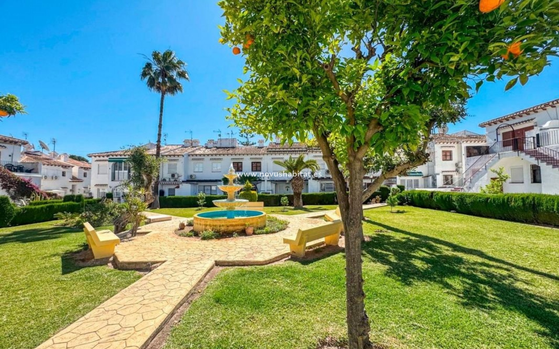 Neue Gebäude - Apartament - Torrevieja