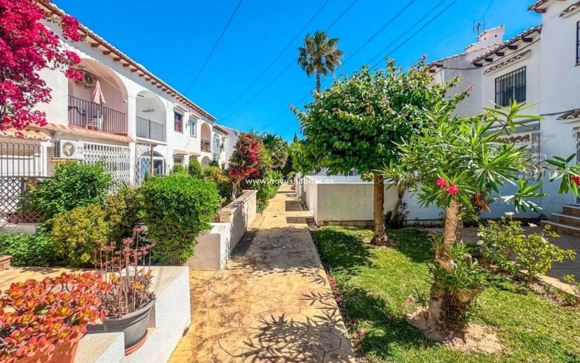 Neue Gebäude - Apartament - Torrevieja