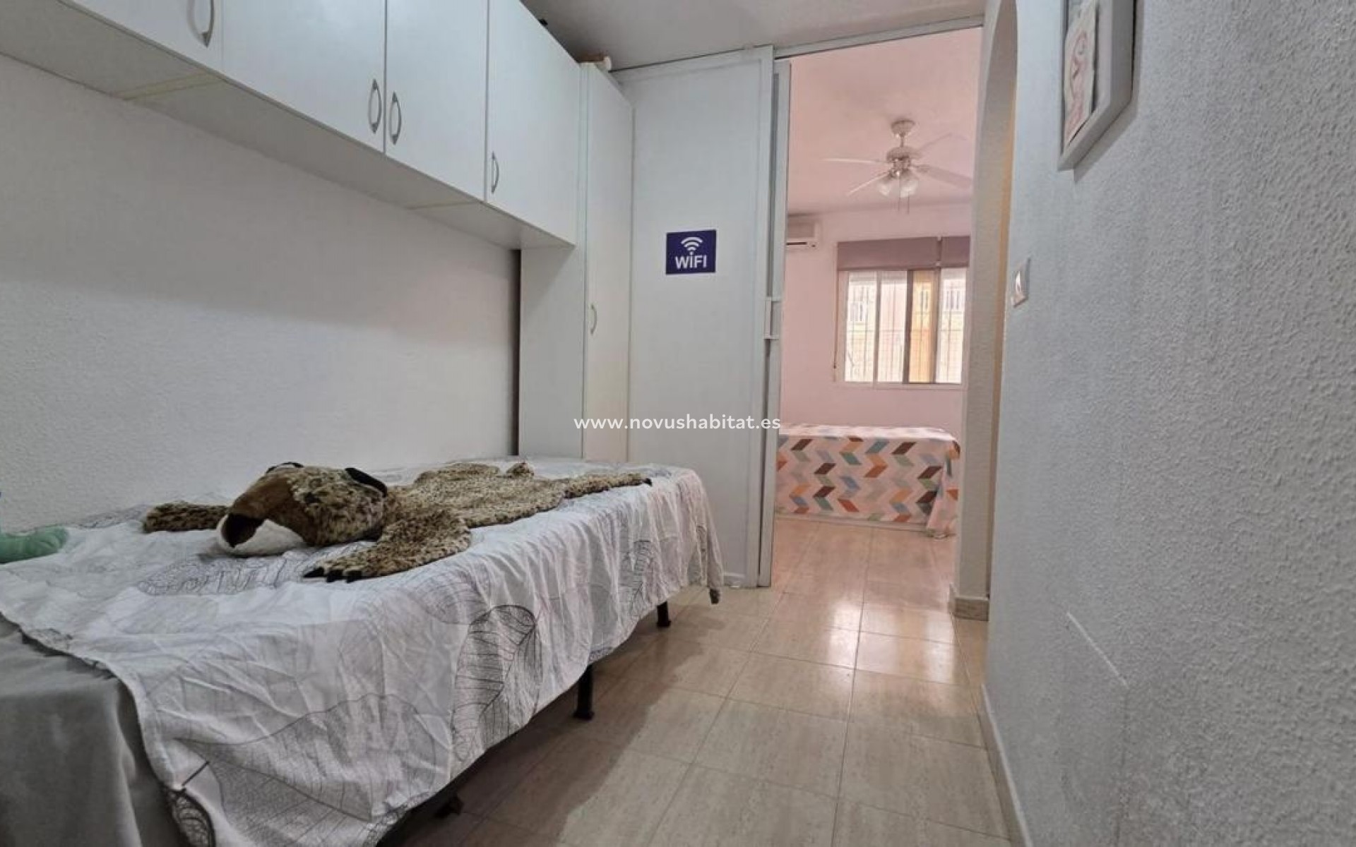 Neue Gebäude - Apartament - Torrevieja