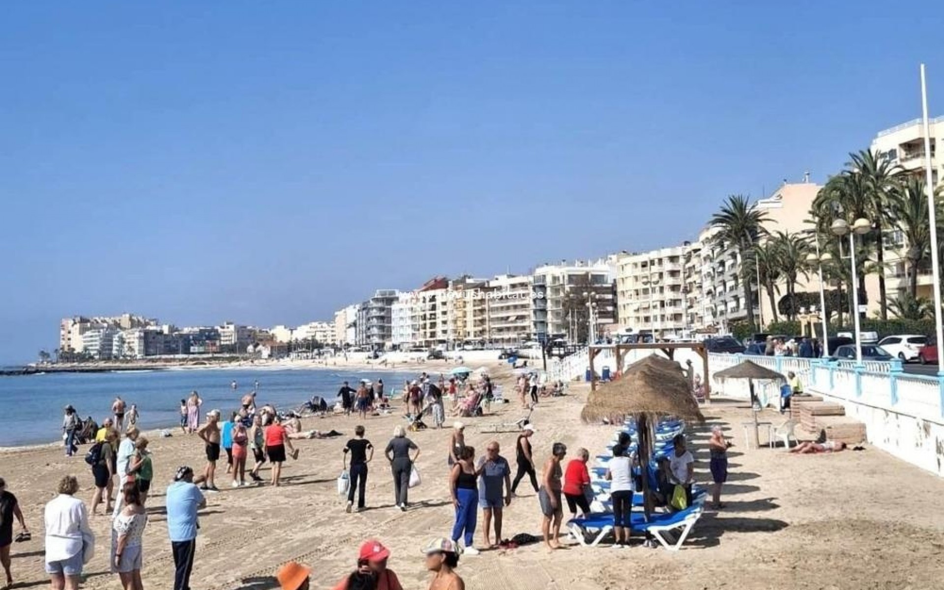Neue Gebäude - Apartament - Torrevieja