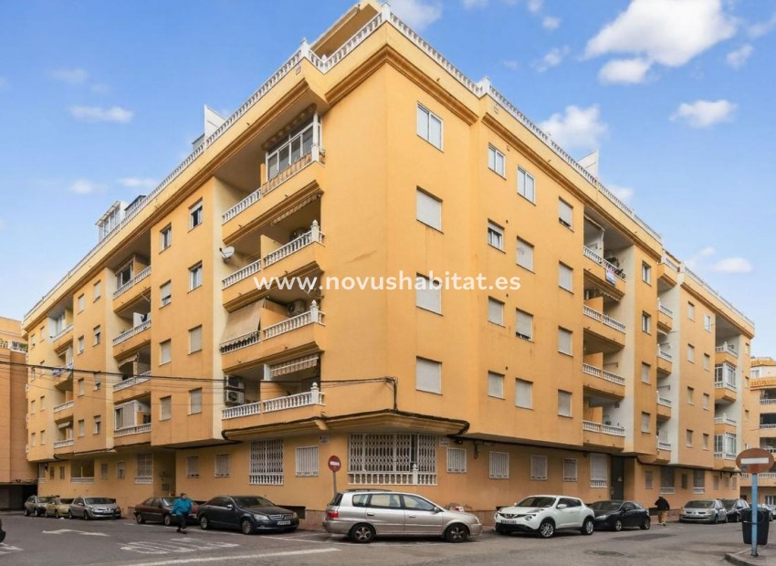 Neue Gebäude - Apartament - Torrevieja