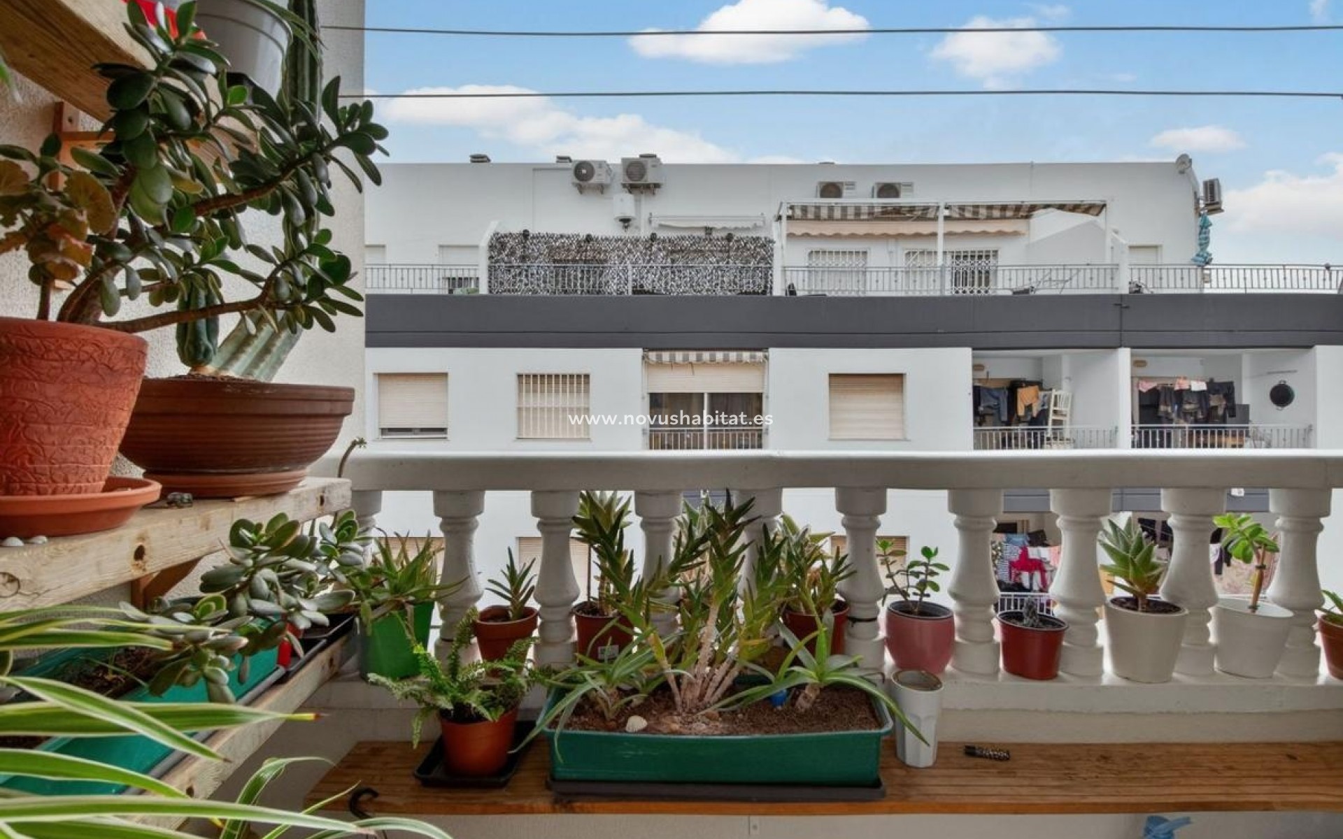 Neue Gebäude - Apartament - Torrevieja