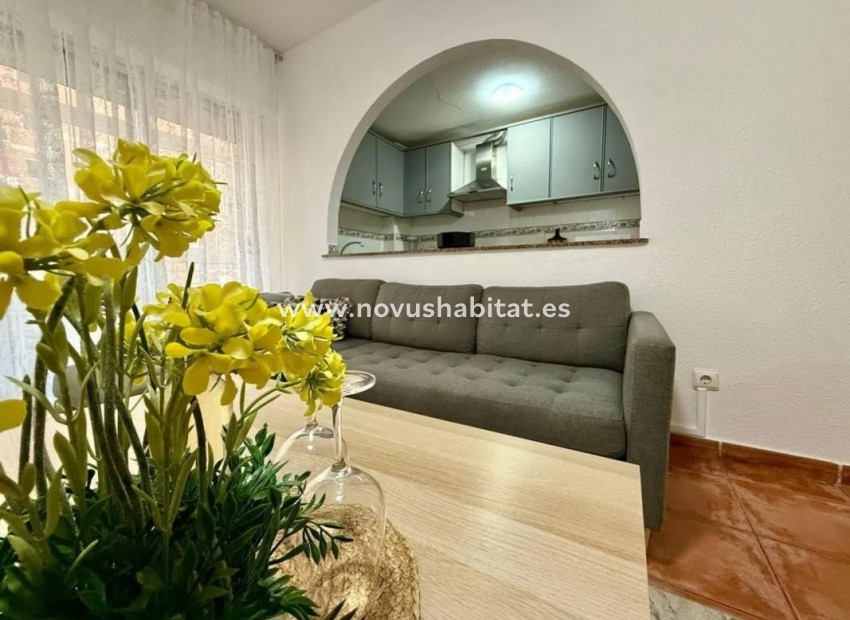 Neue Gebäude - Apartament - Torrevieja