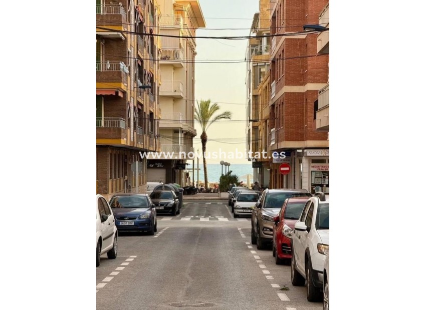 Neue Gebäude - Apartament - Torrevieja