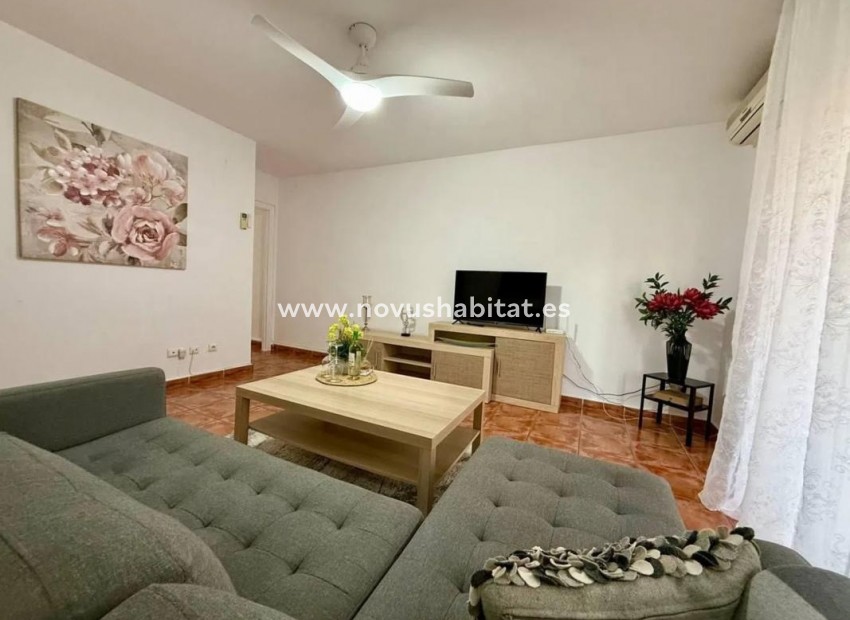 Neue Gebäude - Apartament - Torrevieja