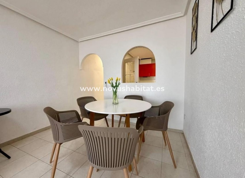 Neue Gebäude - Apartament - Torrevieja