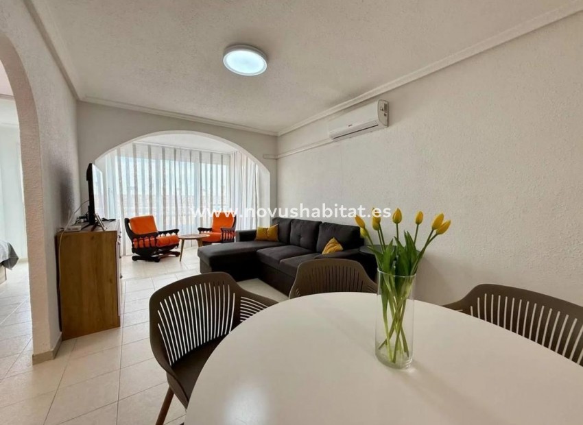 Neue Gebäude - Apartament - Torrevieja