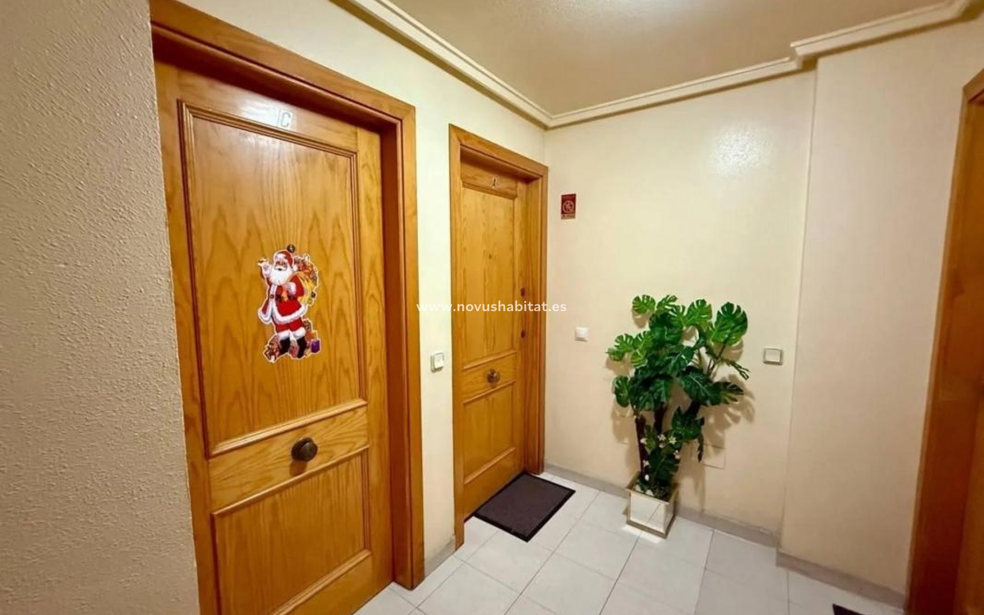 Neue Gebäude - Apartament - Torrevieja