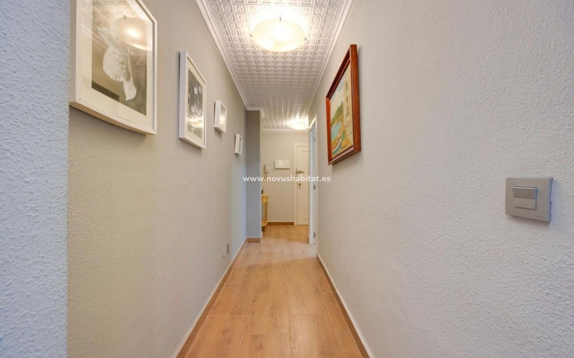 Neue Gebäude - Apartament - Torrevieja