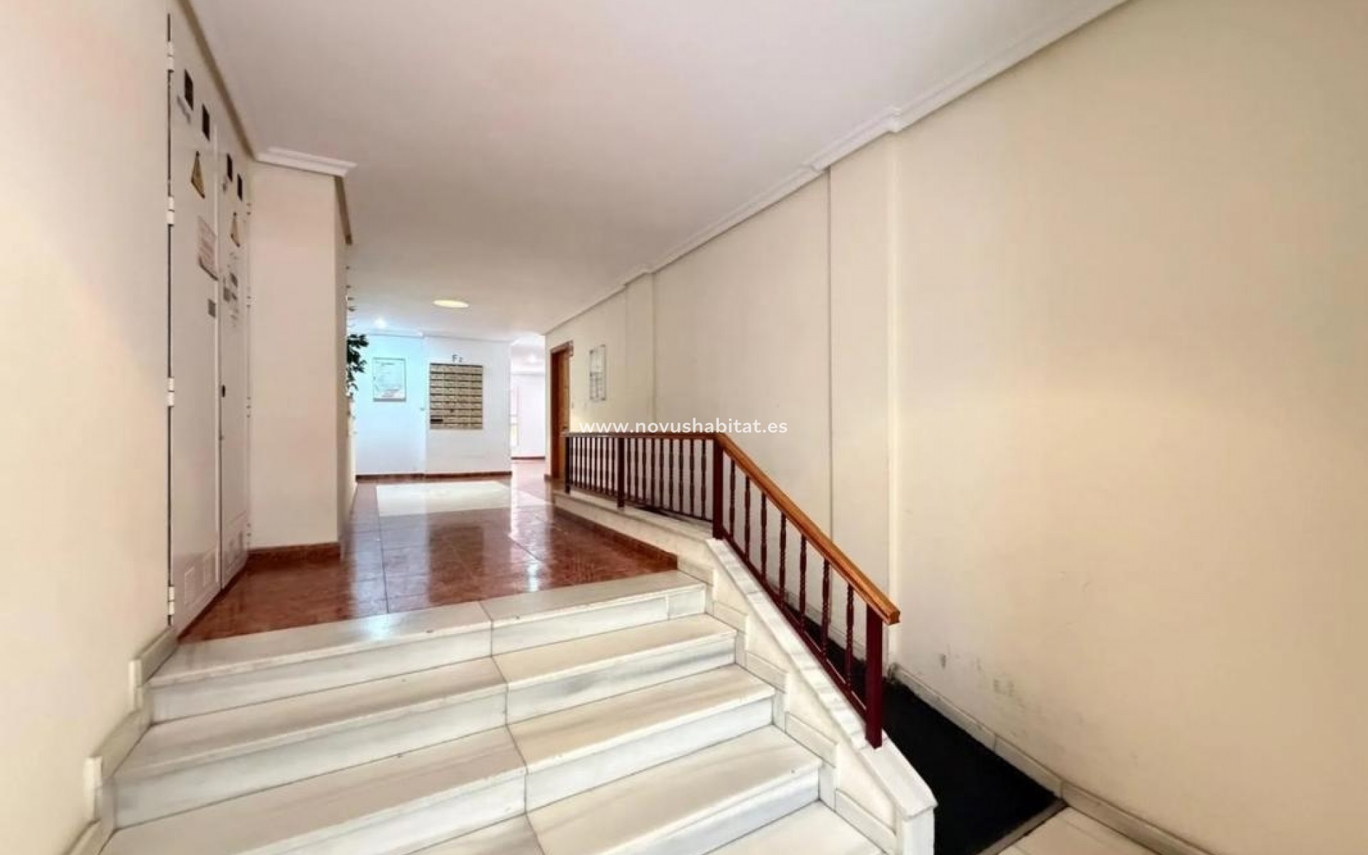 Neue Gebäude - Apartament - Torrevieja