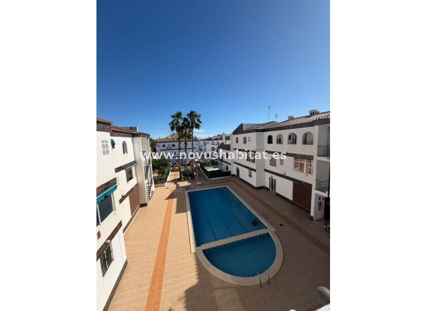 Neue Gebäude - Apartament - Torrevieja