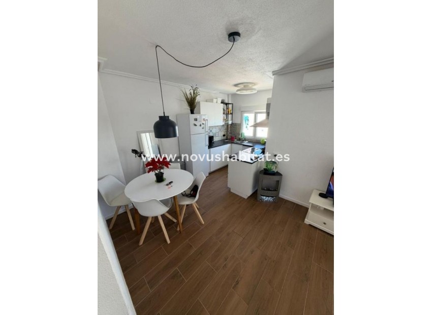 Neue Gebäude - Apartament - Torrevieja