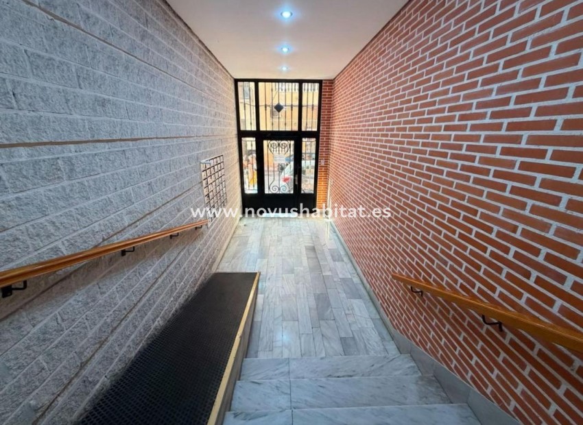 Neue Gebäude - Apartament - Torrevieja