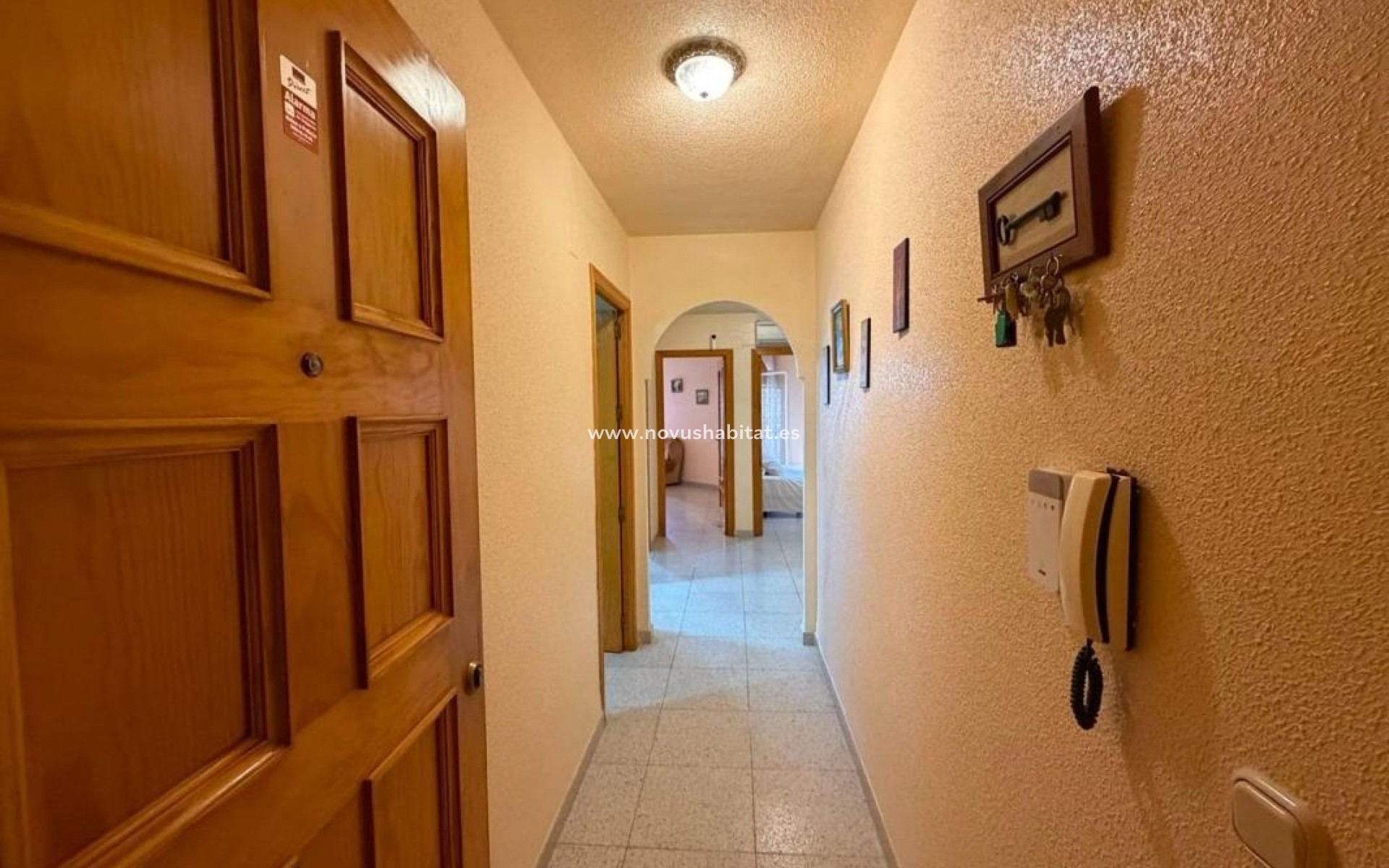 Neue Gebäude - Apartament - Torrevieja