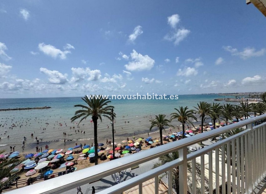 Neue Gebäude - Apartament - Torrevieja