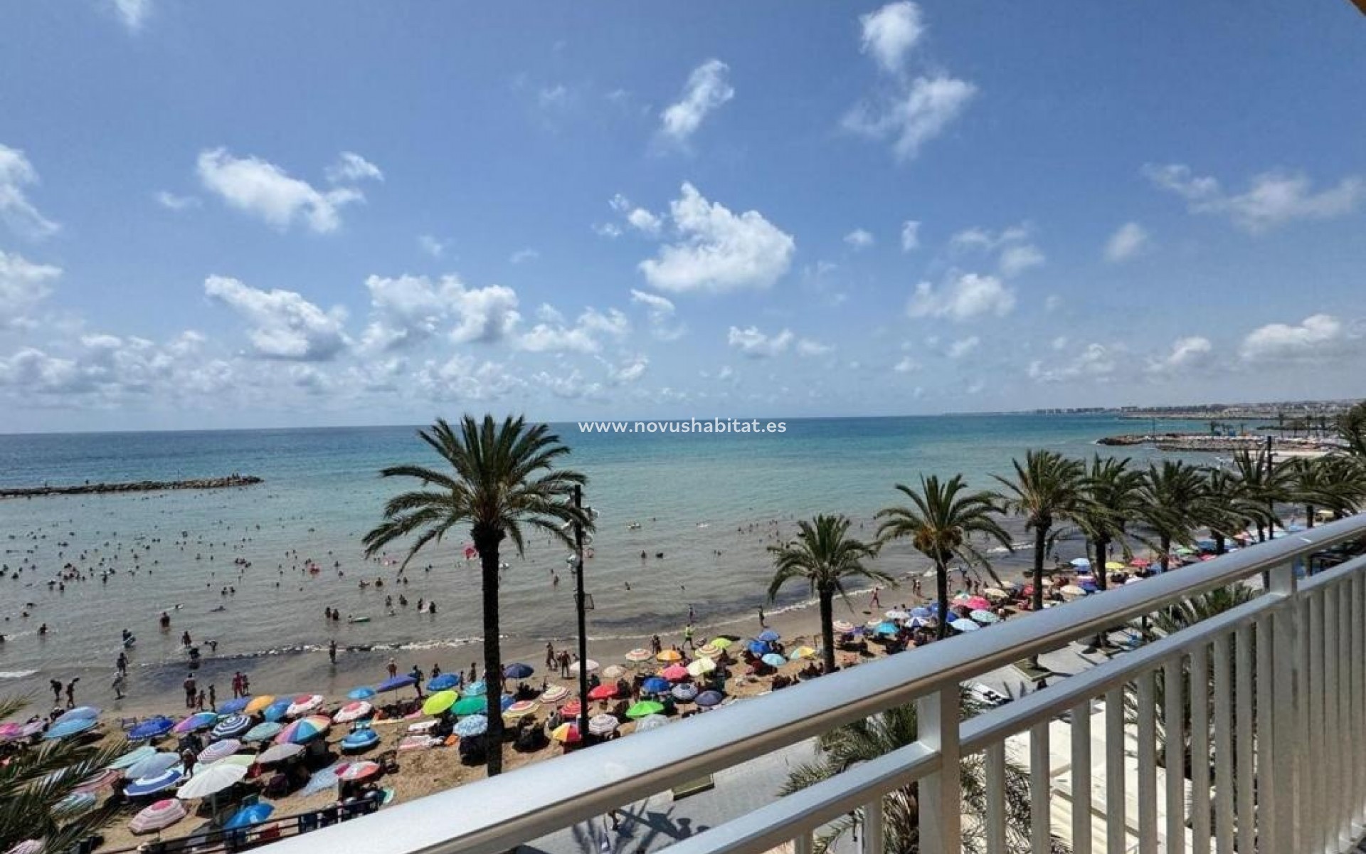 Neue Gebäude - Apartament - Torrevieja