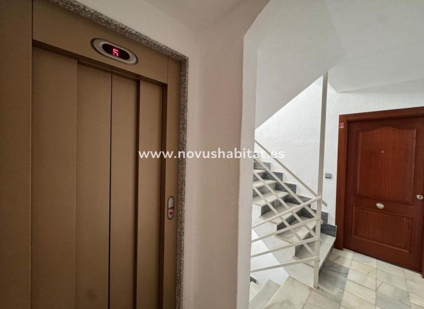 Neue Gebäude - Apartament - Torrevieja
