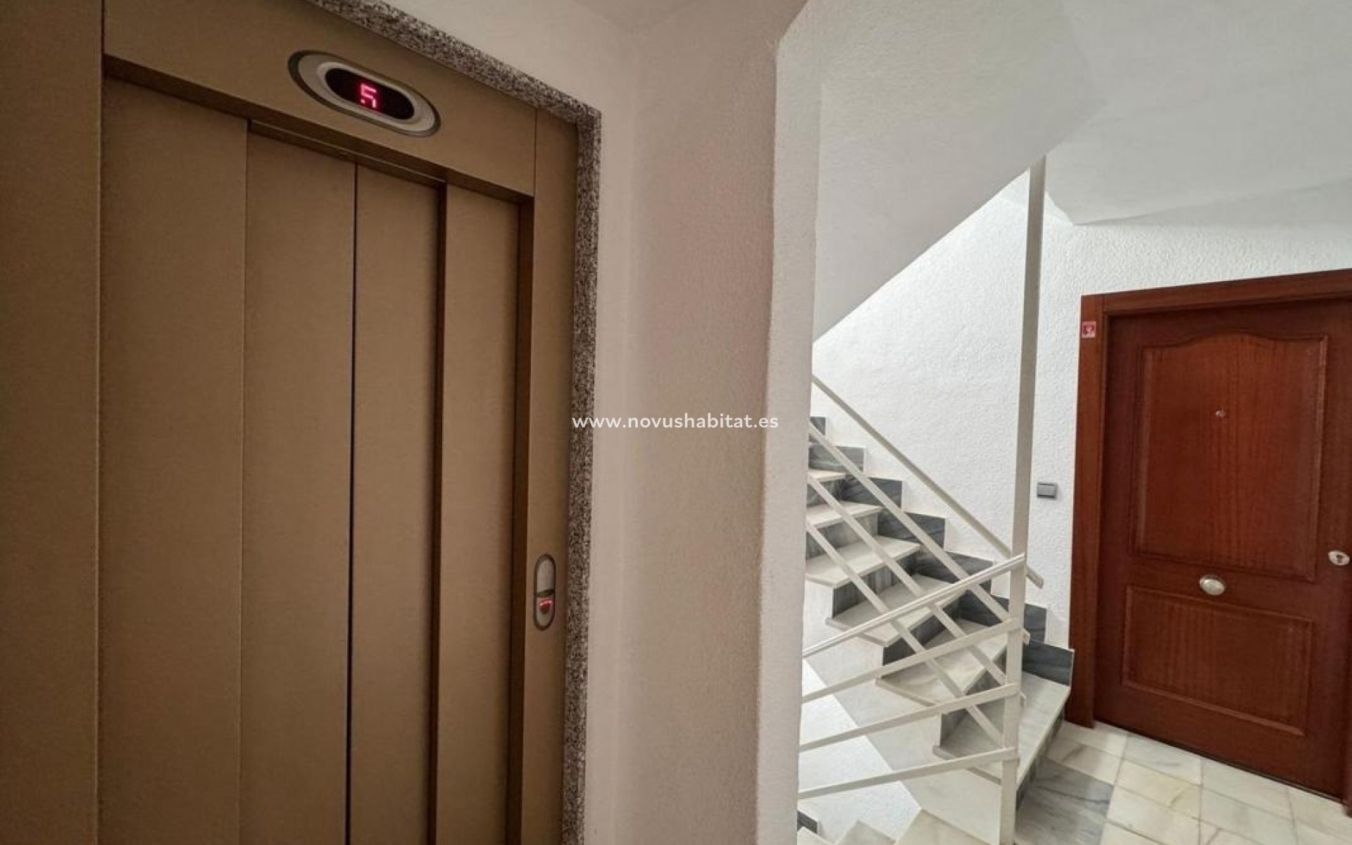 Neue Gebäude - Apartament - Torrevieja