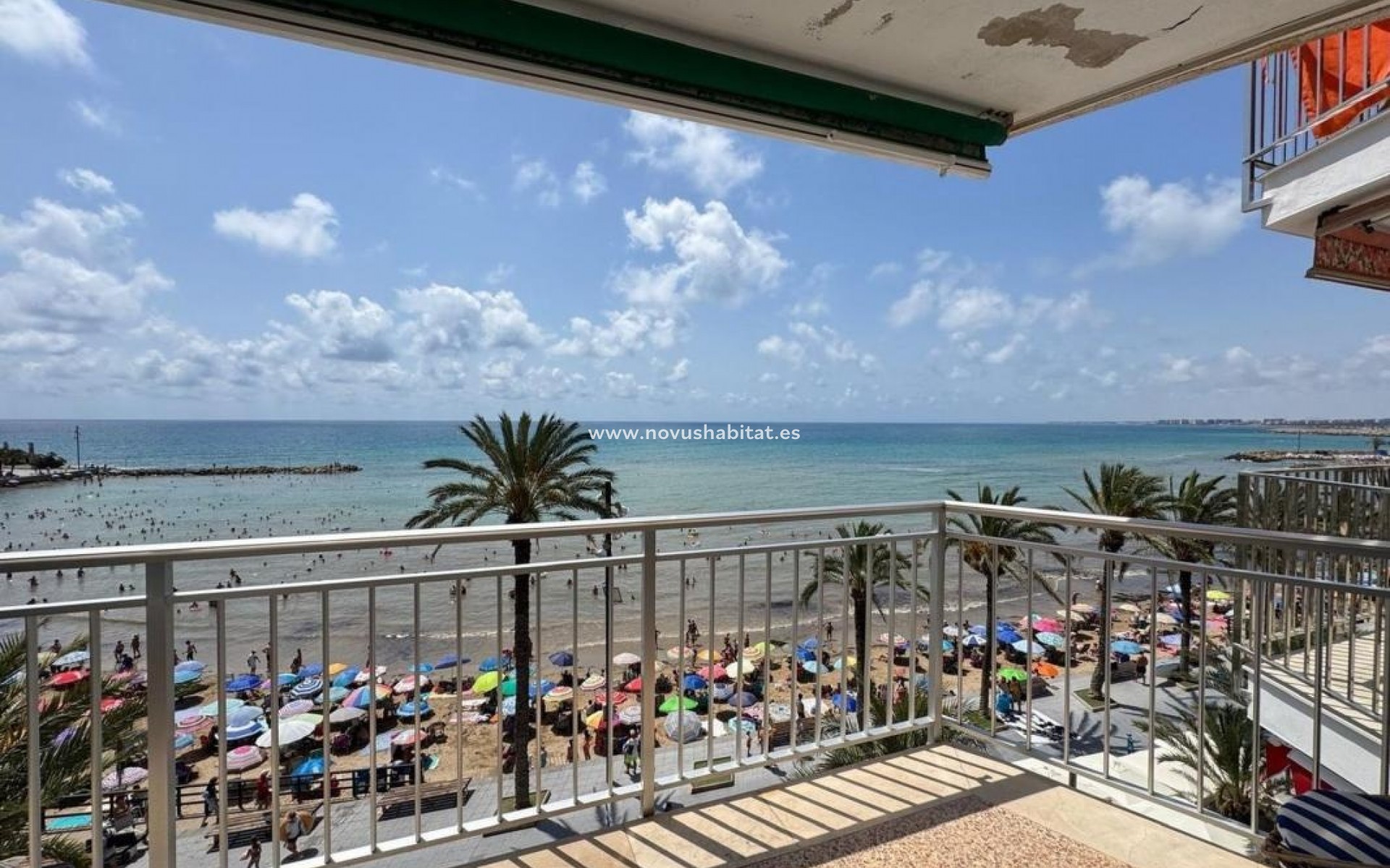 Neue Gebäude - Apartament - Torrevieja