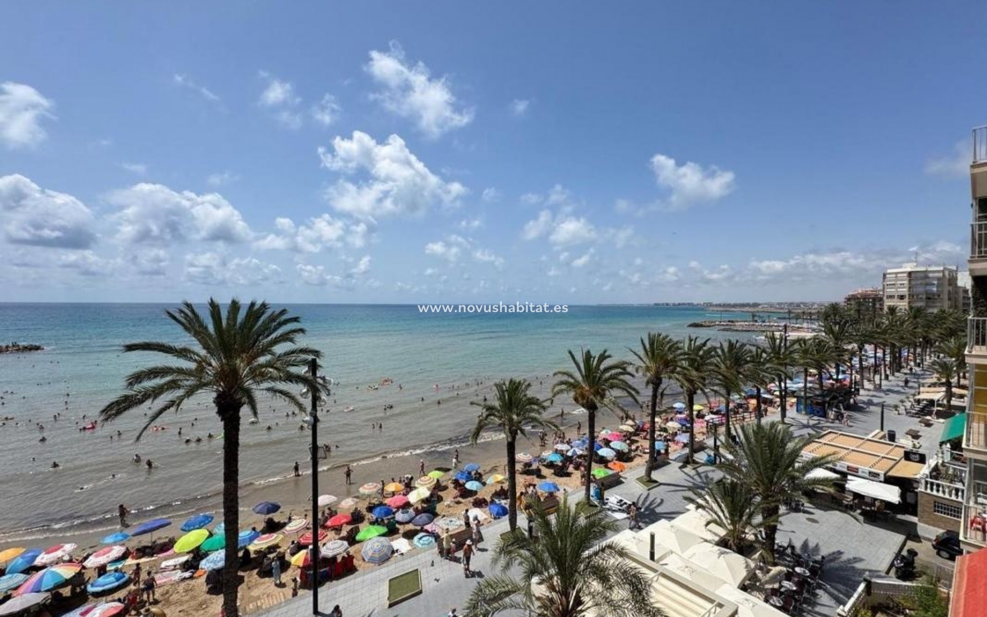 Neue Gebäude - Apartament - Torrevieja
