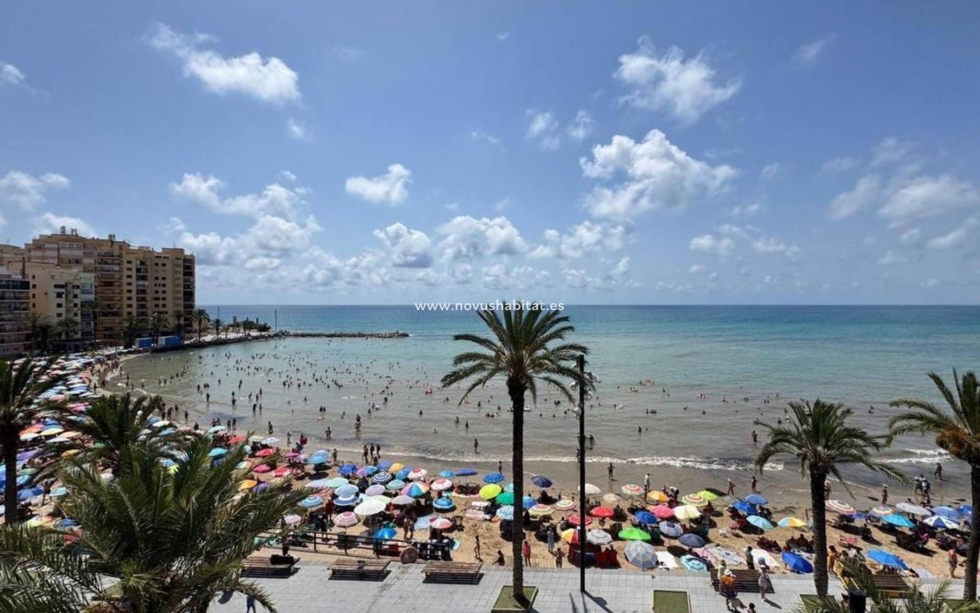 Neue Gebäude - Apartament - Torrevieja