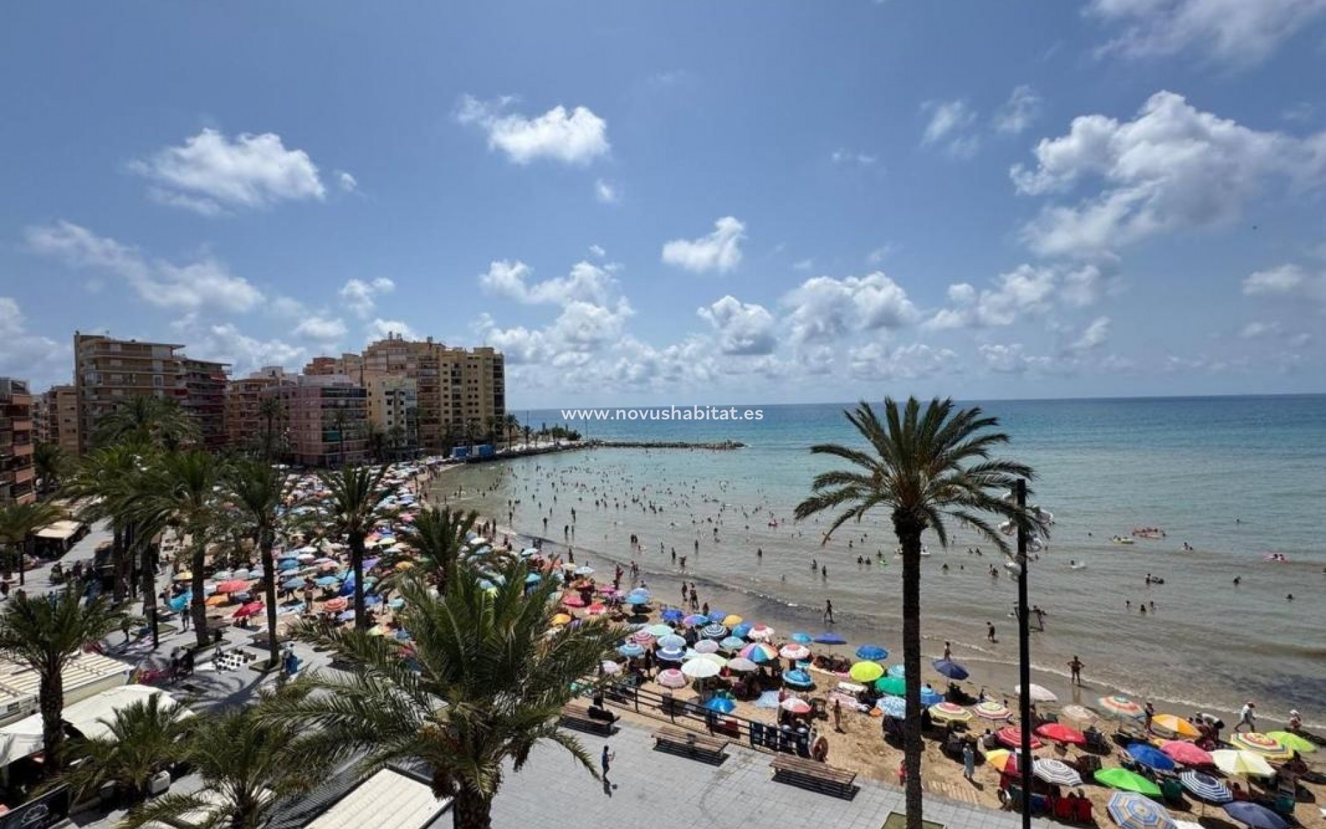 Neue Gebäude - Apartament - Torrevieja