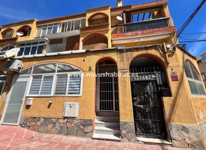 Neue Gebäude - Apartament - Torrevieja