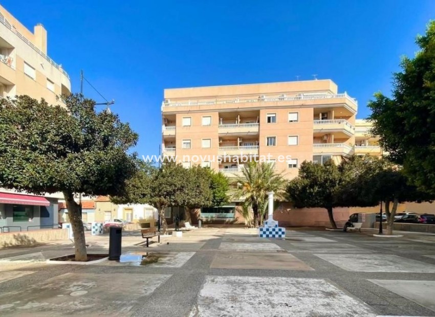 Neue Gebäude - Apartament - Torrevieja
