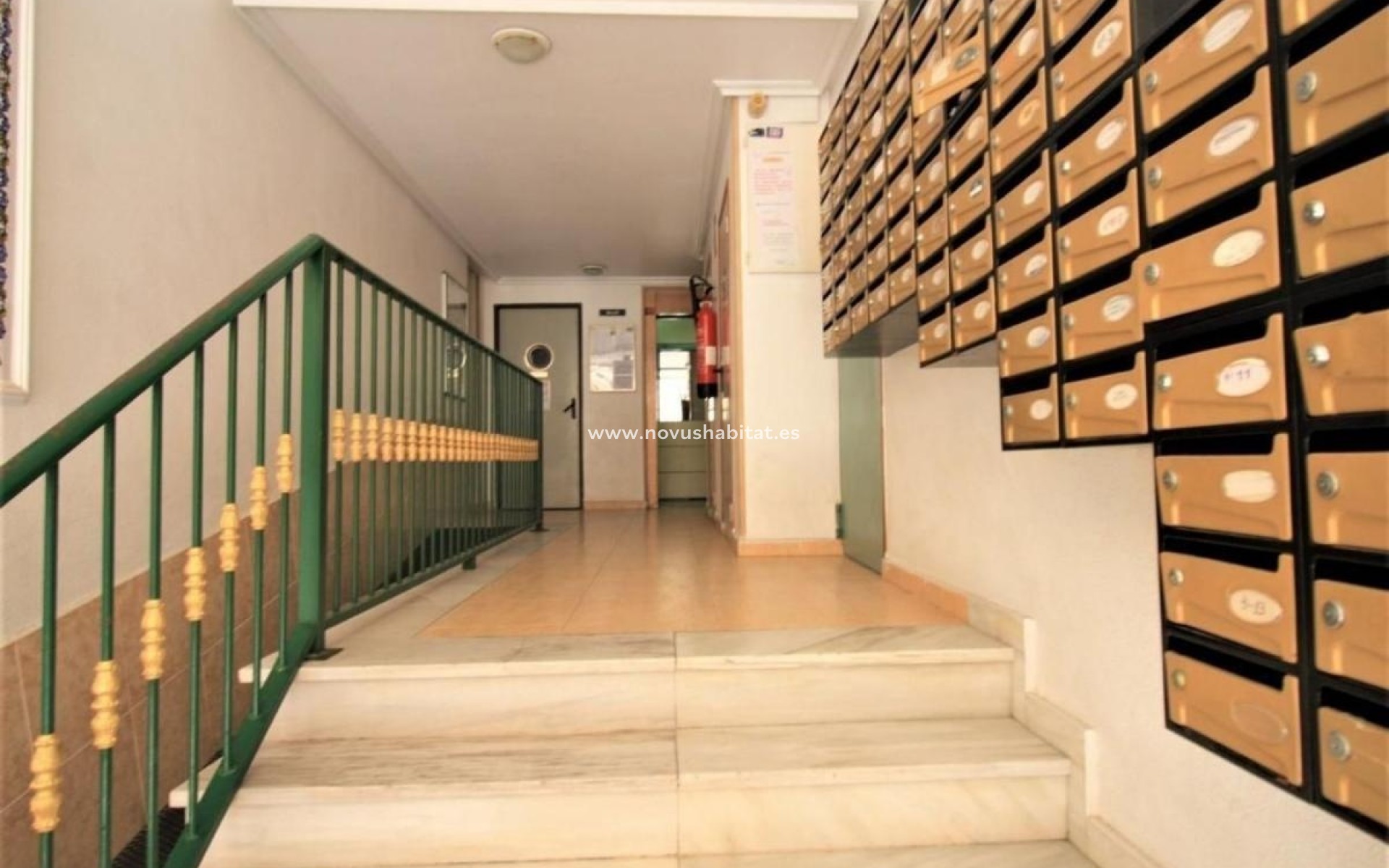 Neue Gebäude - Apartament - Torrevieja