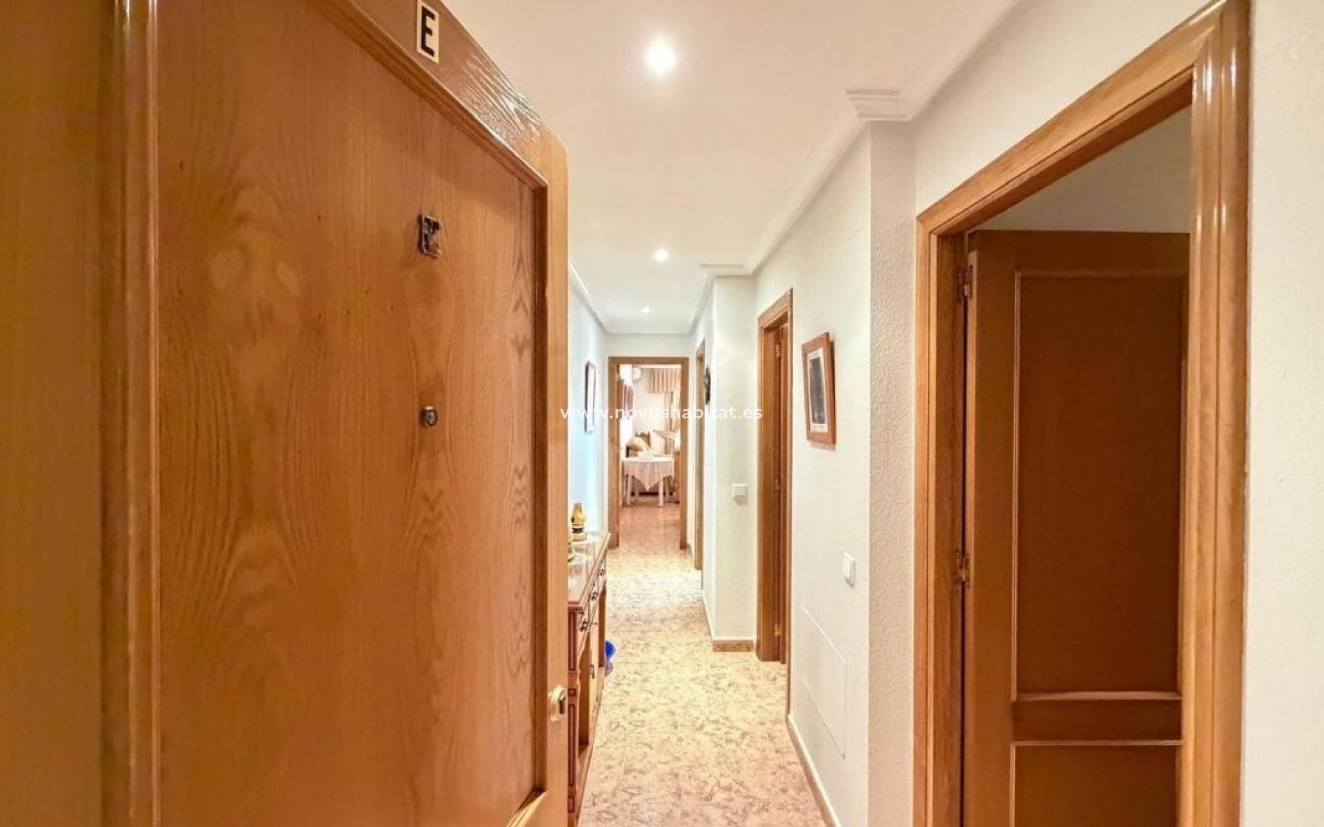 Neue Gebäude - Apartament - Torrevieja