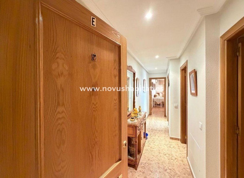 Neue Gebäude - Apartament - Torrevieja