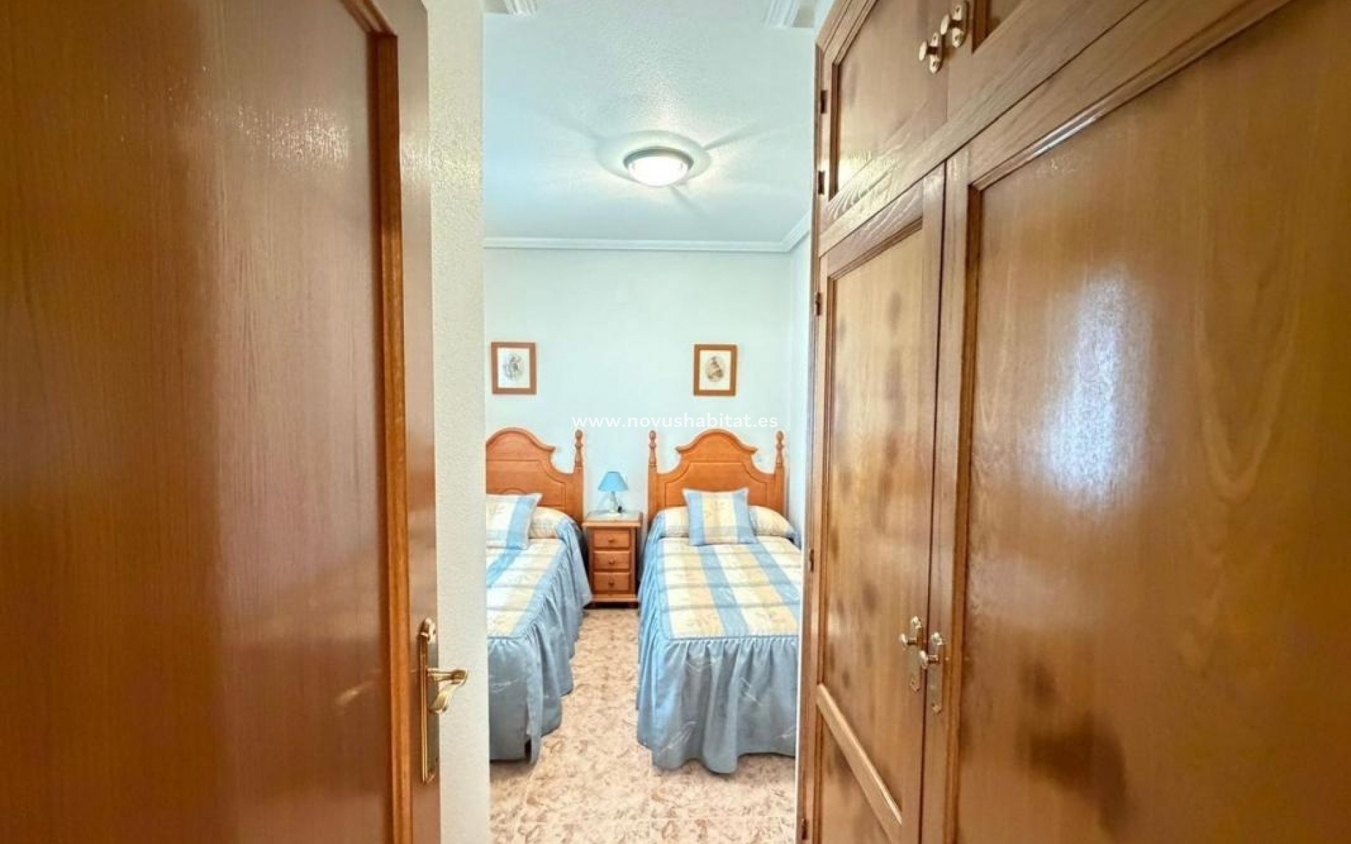 Neue Gebäude - Apartament - Torrevieja