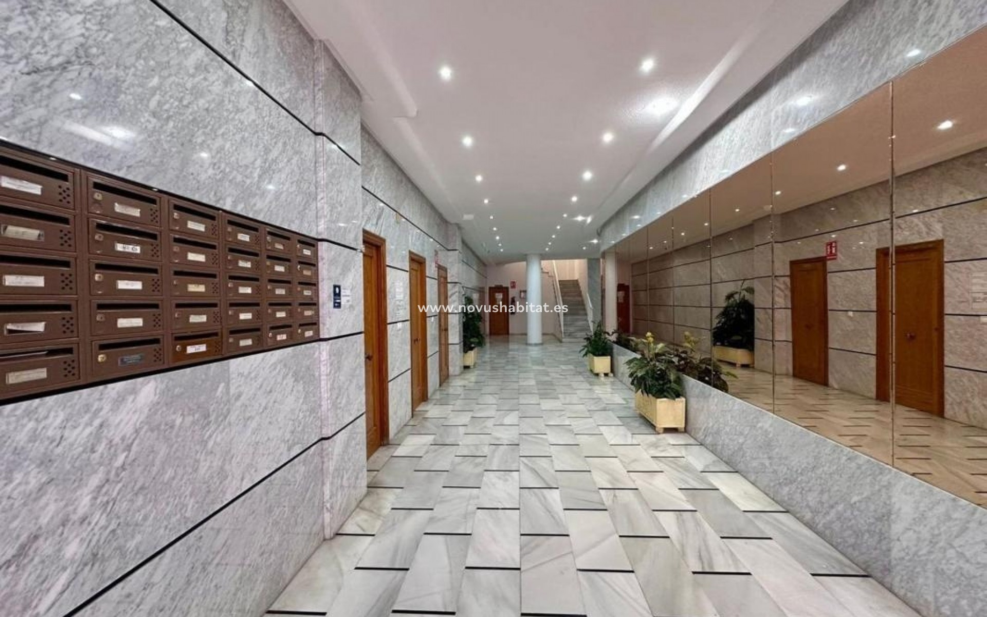 Neue Gebäude - Apartament - Torrevieja