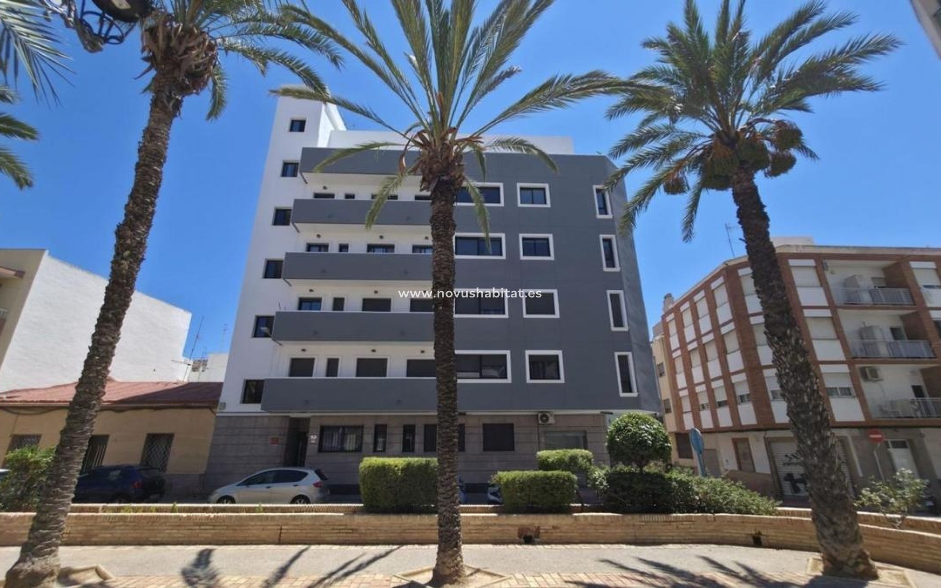 Neue Gebäude - Apartament - Torrevieja