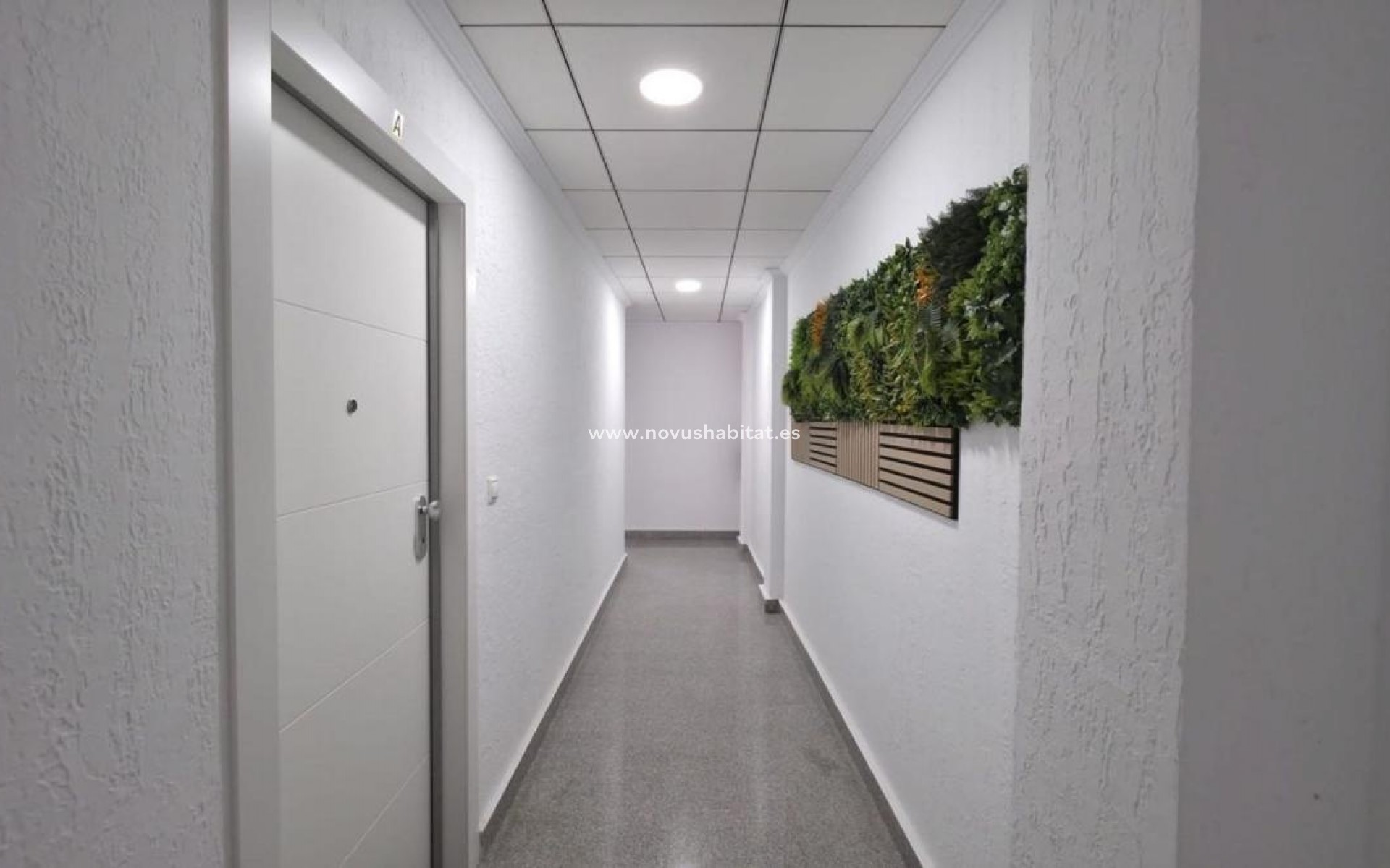 Neue Gebäude - Apartament - Torrevieja