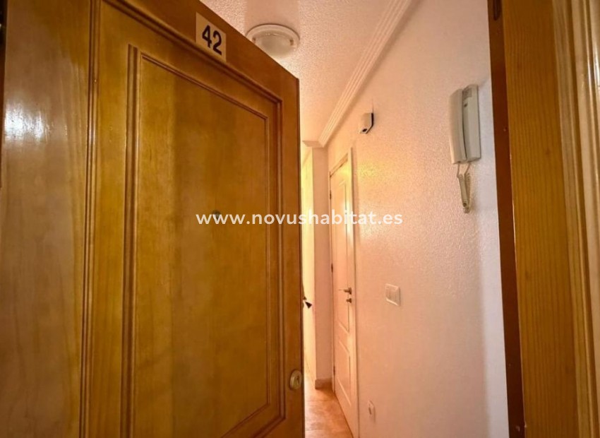 Neue Gebäude - Apartament - Torrevieja