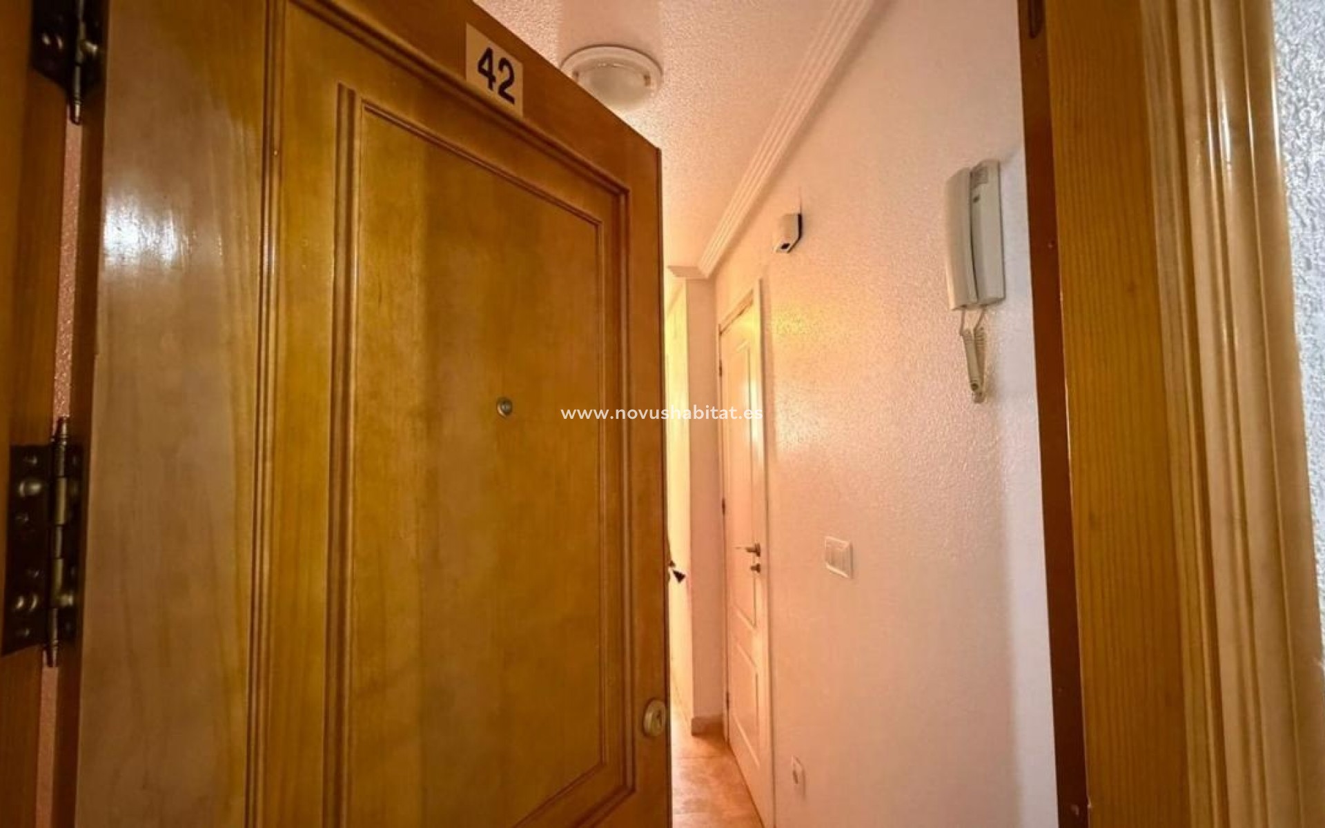 Neue Gebäude - Apartament - Torrevieja
