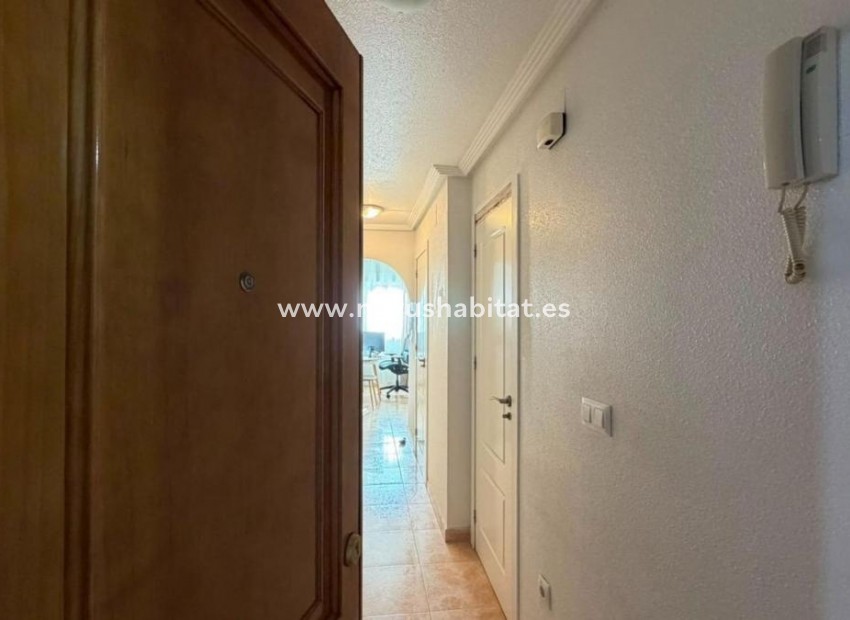 Neue Gebäude - Apartament - Torrevieja