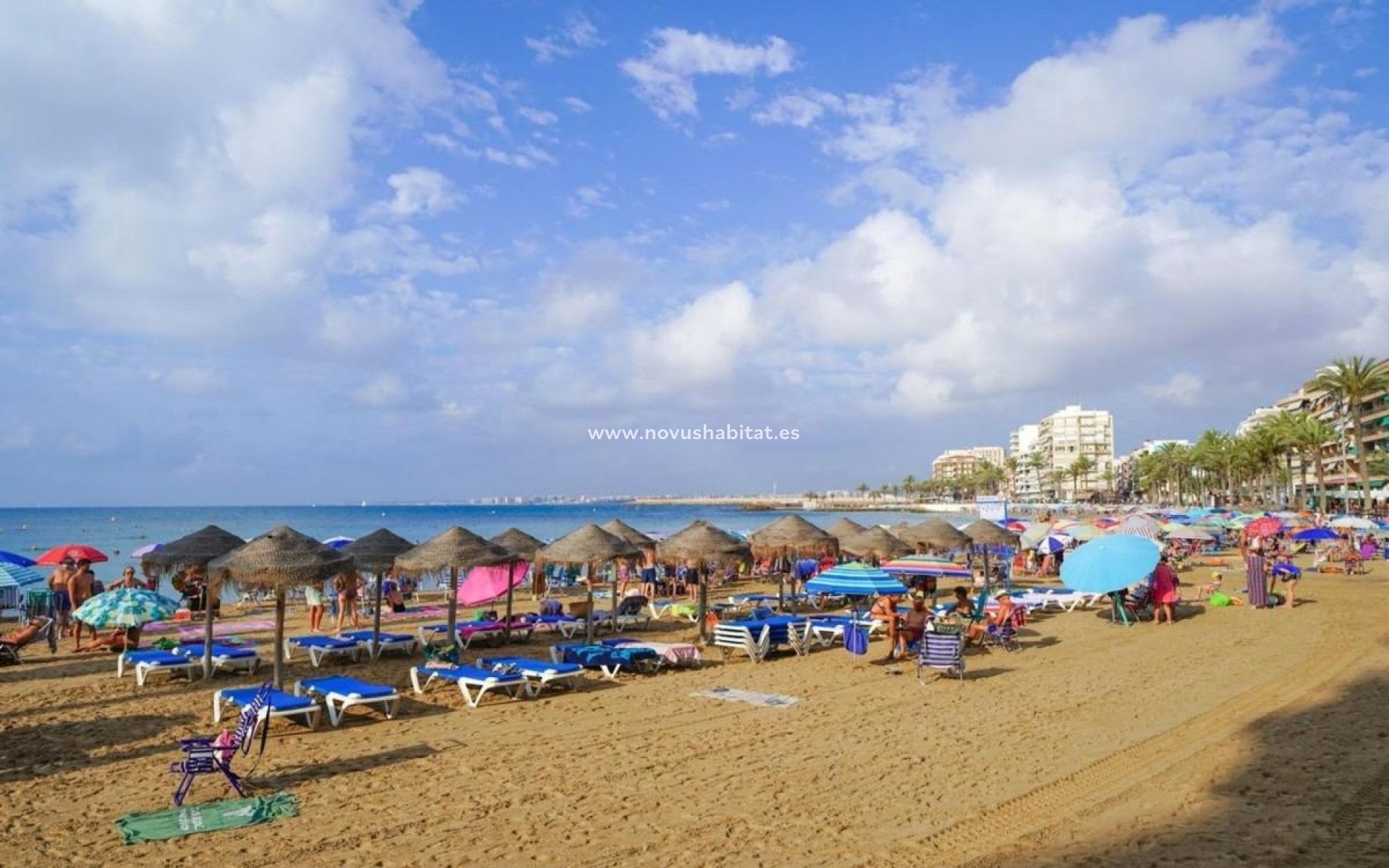 Neue Gebäude - Apartament - Torrevieja