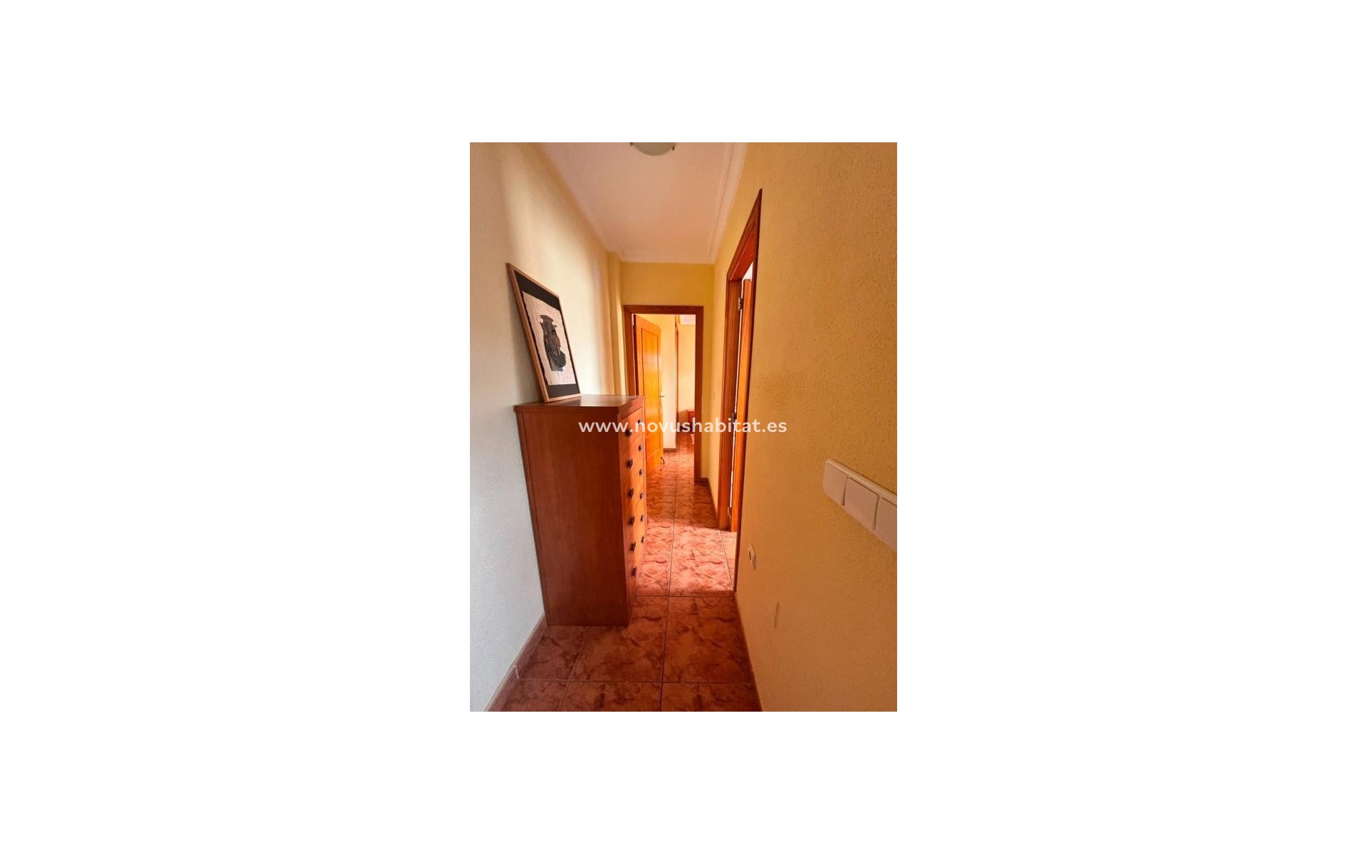 Neue Gebäude - Apartament - Torrevieja