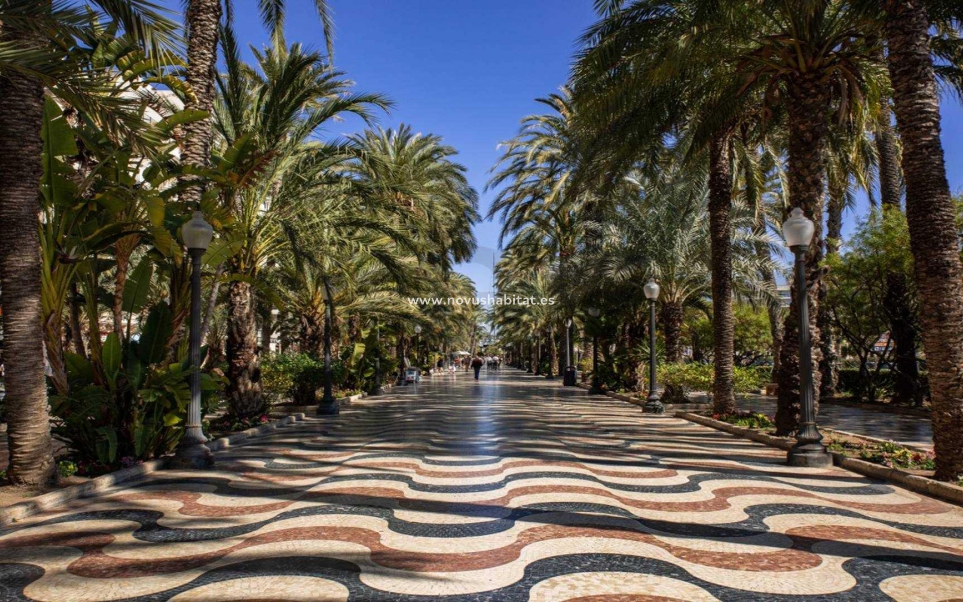 Neue Gebäude - Ground floor apartment - Alicante