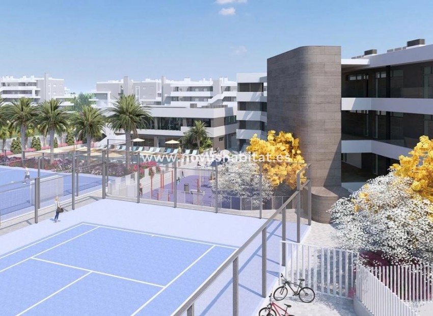 Neue Gebäude - Ground floors - Torrevieja