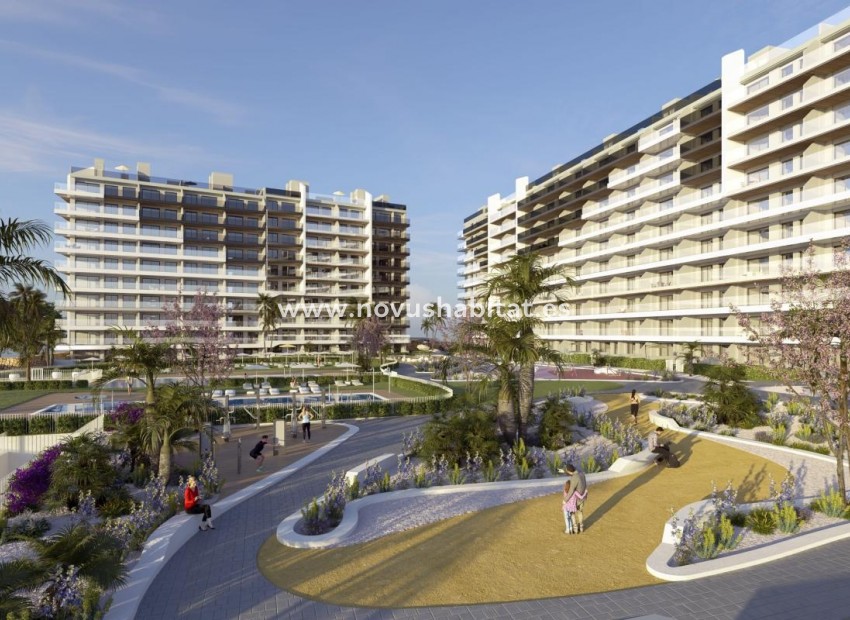 Neue Gebäude - Ground floors - Torrevieja