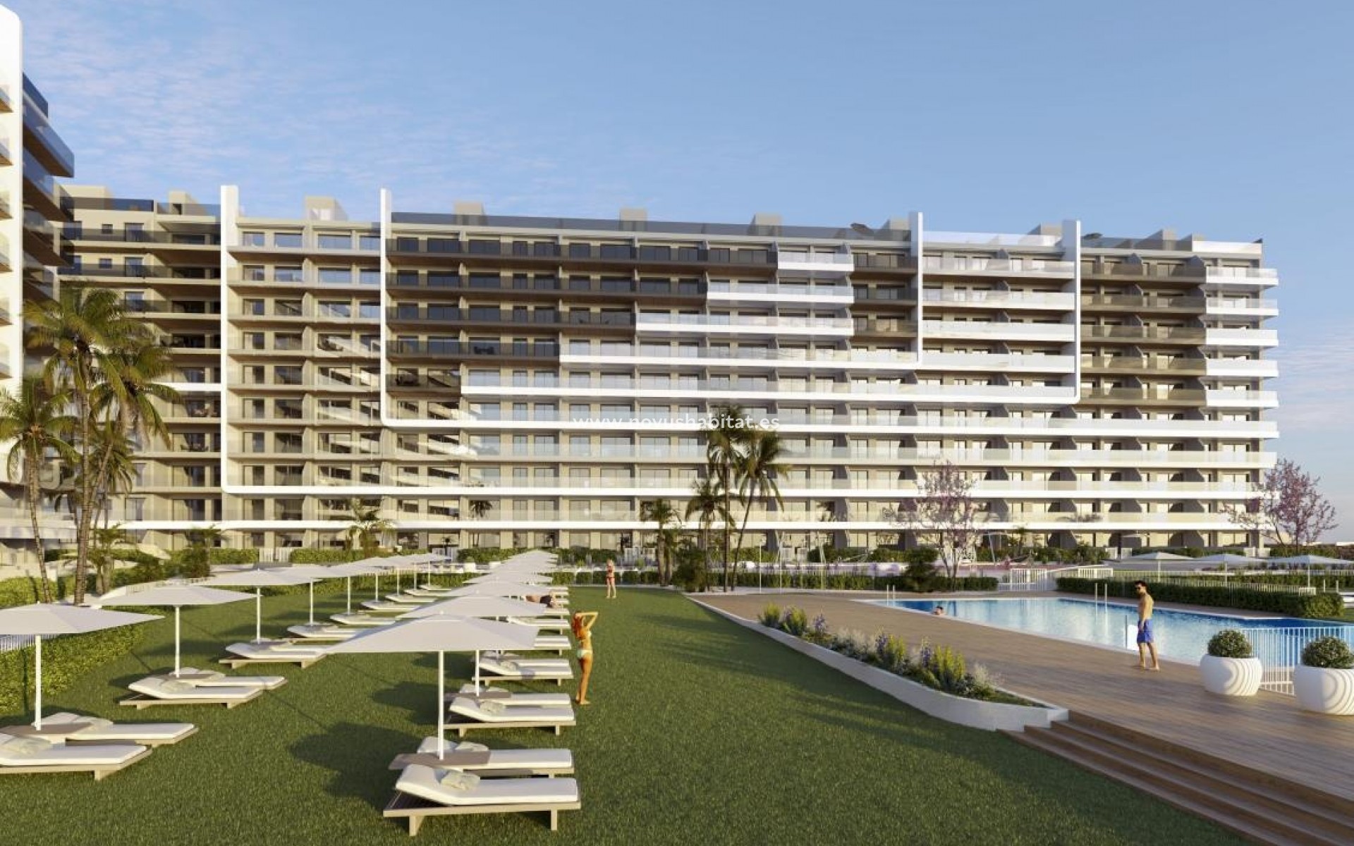 Neue Gebäude - Ground floors - Torrevieja