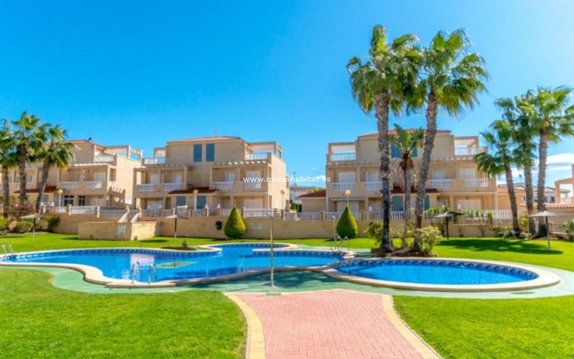 Neue Gebäude - Houses - Orihuela
