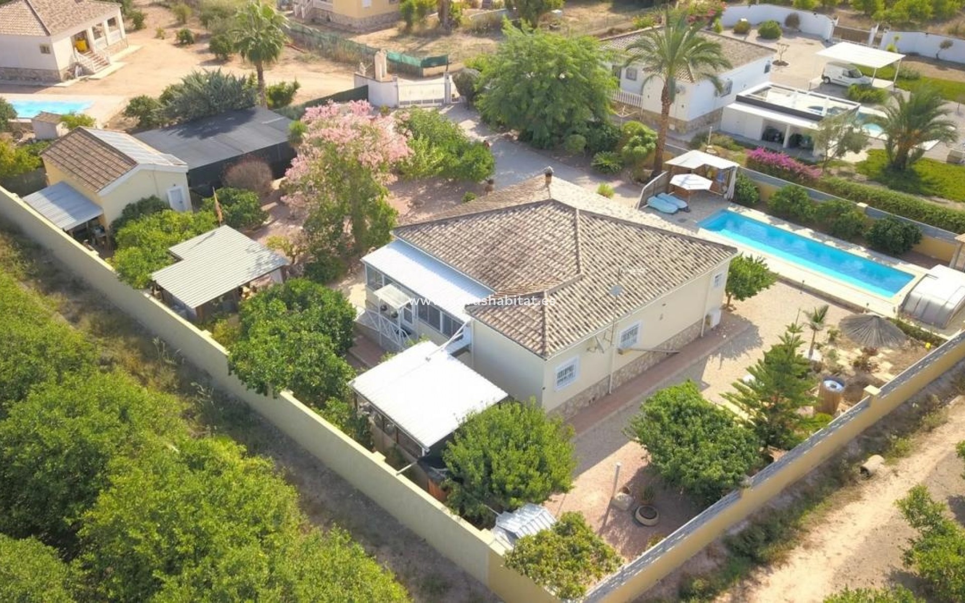 Neue Gebäude - Houses - Orihuela