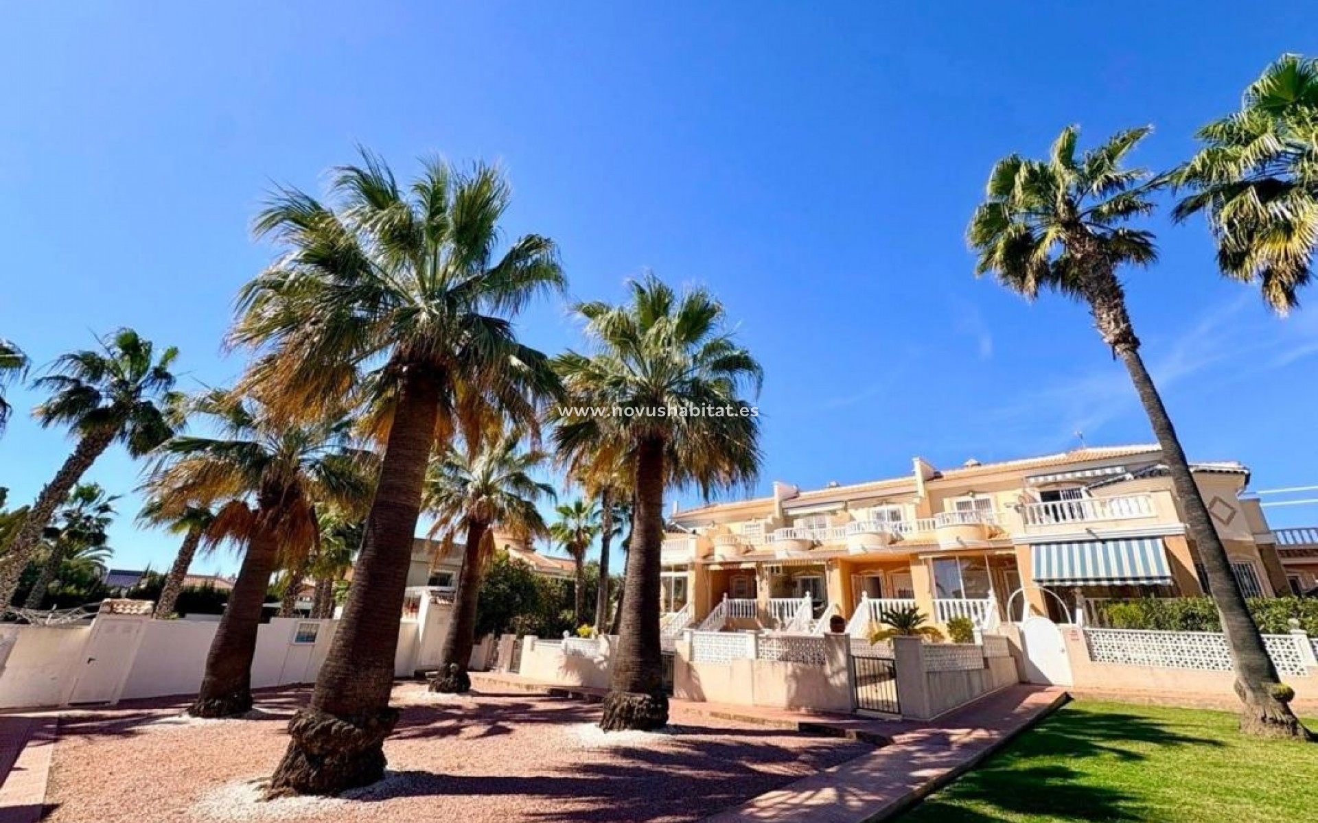Neue Gebäude - Houses - Rojales / Ciudad Quesada - Rojales